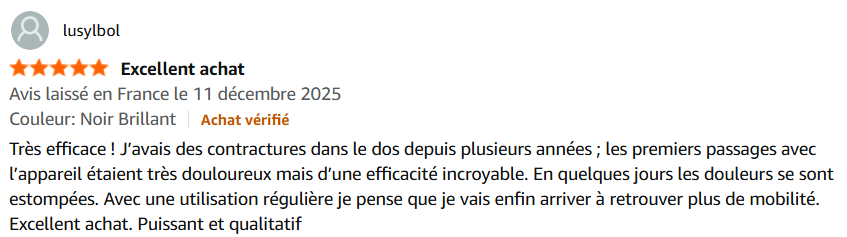Le Masseur Shiatsu 2-en-1
