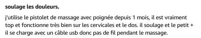 Le Masseur Shiatsu 2-en-1
