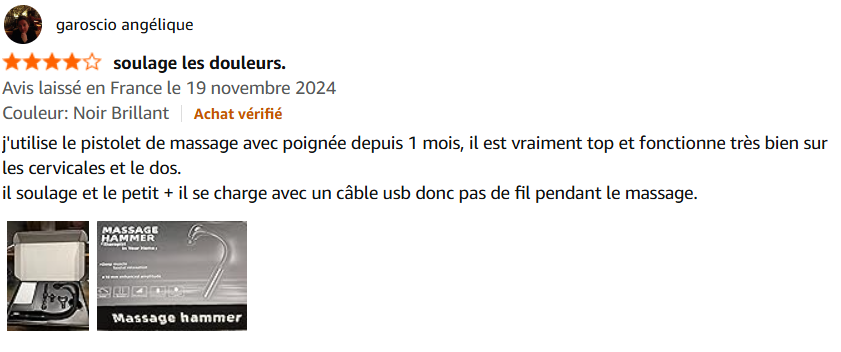 Le Masseur Shiatsu 2-en-1